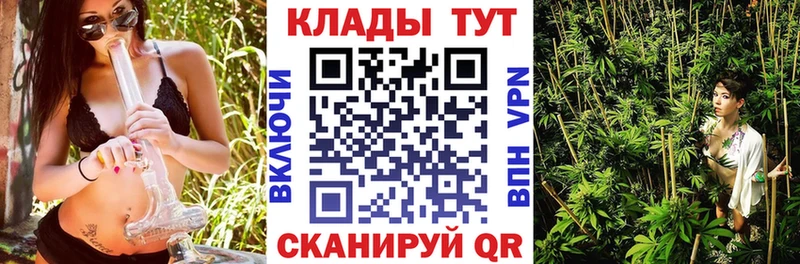 Где купить наркотики Александровское ГАШ  МАРИХУАНА  COCAIN  Меф мяу мяу 