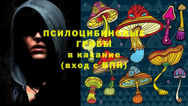 ПСИЛОЦИБИНОВЫЕ ГРИБЫ Арсеньев
