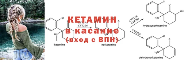 ПСИЛОЦИБИНОВЫЕ ГРИБЫ Арсеньев