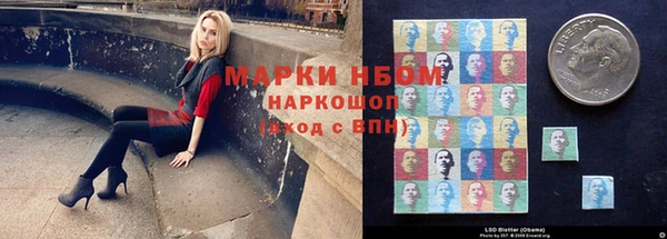ПСИЛОЦИБИНОВЫЕ ГРИБЫ Арсеньев
