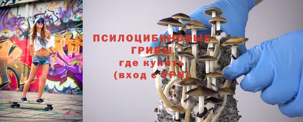 ешки Михайловка