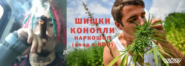 ПСИЛОЦИБИНОВЫЕ ГРИБЫ Арсеньев