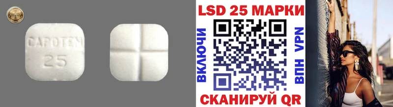 дарнет шоп  Александровское  omg ТОР  Лсд 25 экстази ecstasy 
