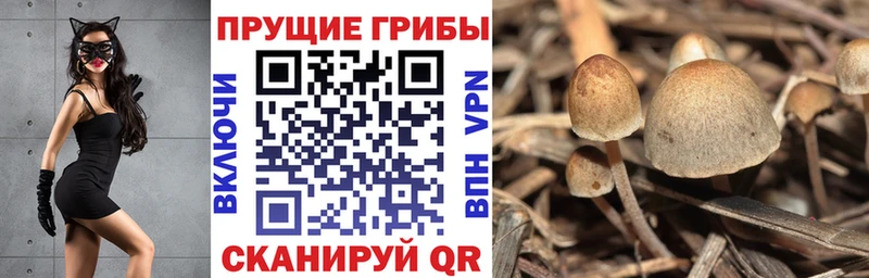 Галлюциногенные грибы прущие грибы  kraken   Александровское 